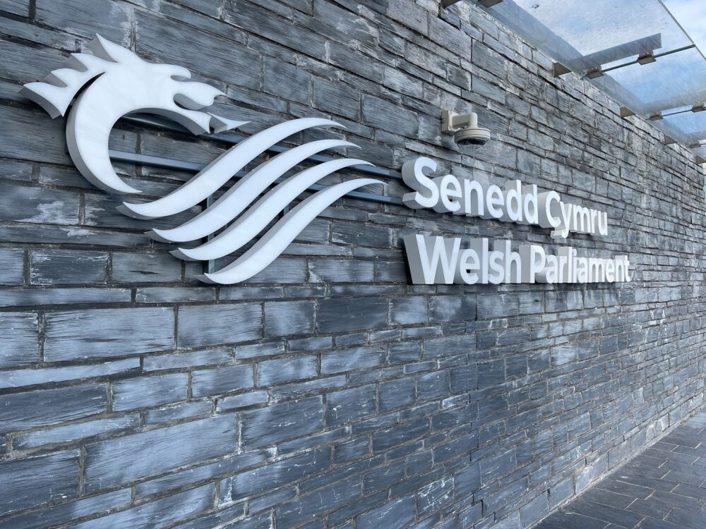 Senedd