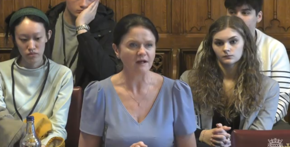 Kate Nicholls giving evidence to the House of Lords Built Environment Committee