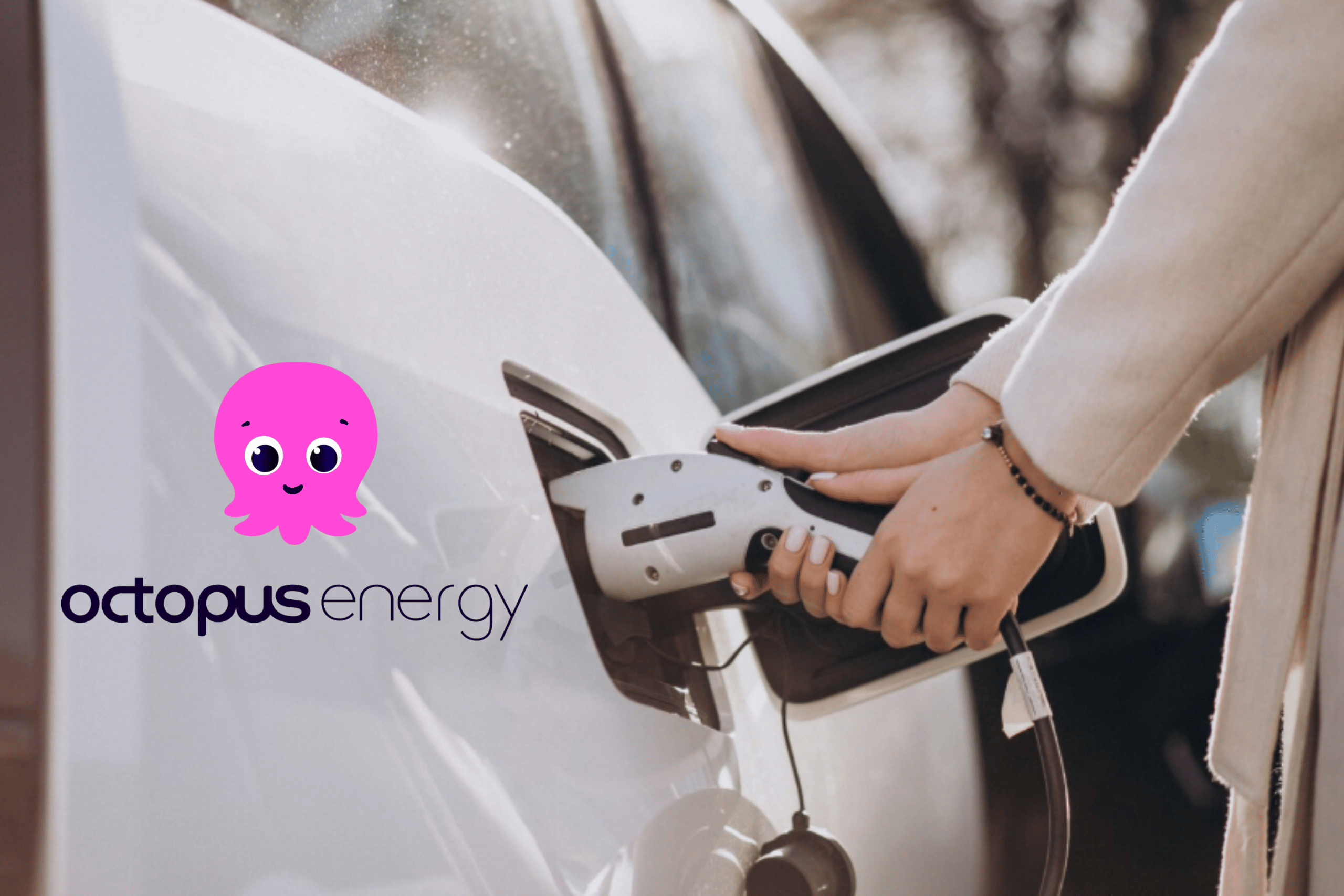 Octopus Electric Vehicles offers electric vehicle leasing for personal, business and salary sacrifice, charging and cheap renewable electricity. UKHospitality members get access to the Octopus EV salary sacrifice scheme. 